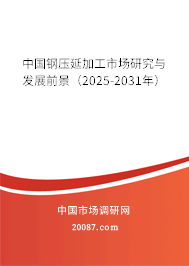 中国钢压延加工市场研究与发展前景预测（2025-2031年）