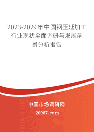 2023-2029年中国钢压延加工行业现状全面调研与发展前景分析